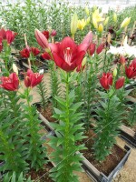 [5657 VZ H07 5609-05 No01.JPG]